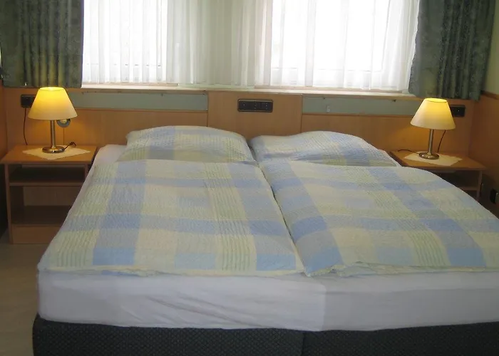 Hotel Gasthof-metzgerei Rotes Ross Burghaslach